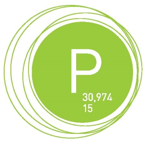 Logo Phosphor